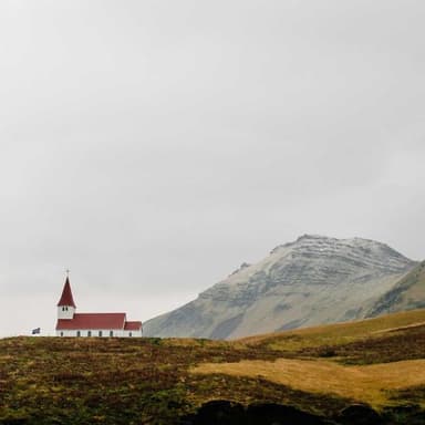 Polaroid 600 Anında Fotoğraf Makinesi 2