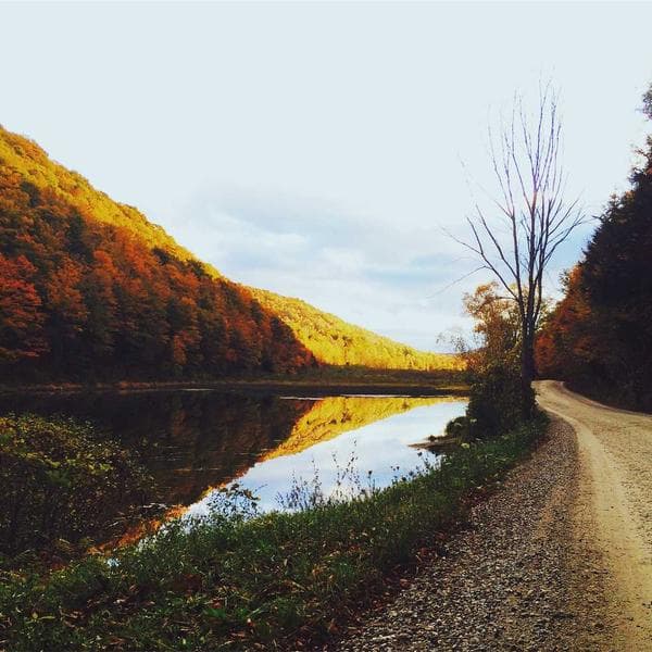 Canon AE-1 Program — Orijinal Kutusu ile