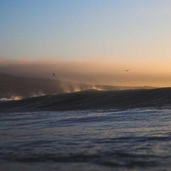 Nikon F3 Profesyonel SLR