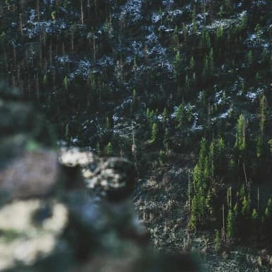 Vintage Japon Çay Seti (6 Parça) 2