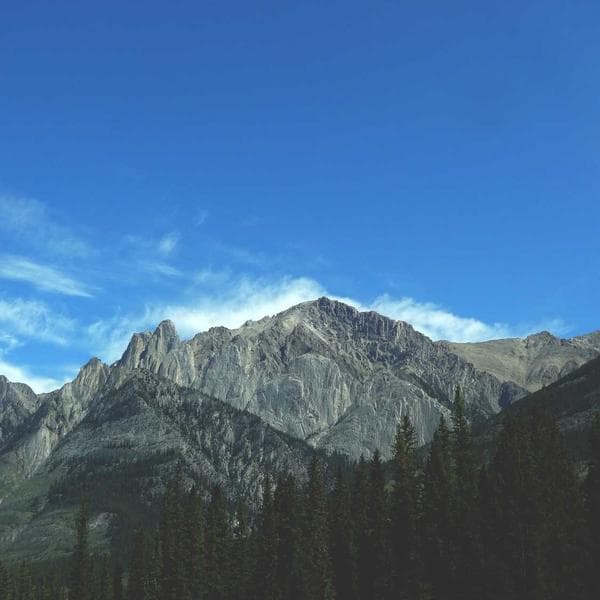 Pioneer PL-12D Plak Çalar