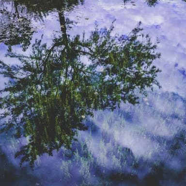 İstanbul Ansiklopedisi — 1958 Baskı (Ciltli) 2