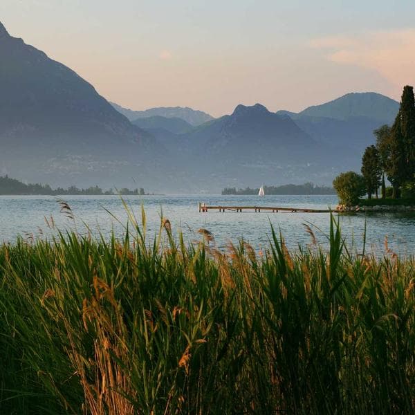 Cumhuriyet Dönemi Afişler Koleksiyonu