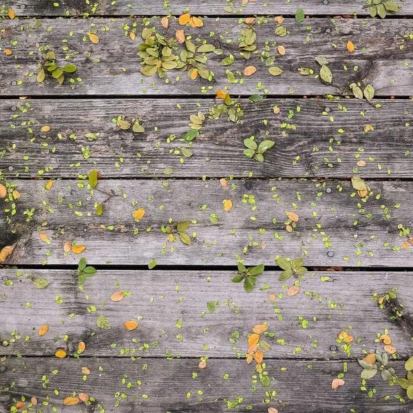 Antika Yazı Makinesi — Olivetti Lettera 32